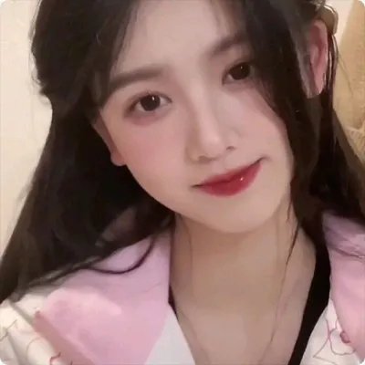 一个小型的专制共和国